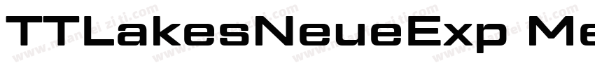 TTLakesNeueExp Medium字体转换
